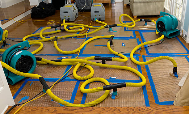 Professional Basement Flood Cleanup technician working in Bradyville, TN